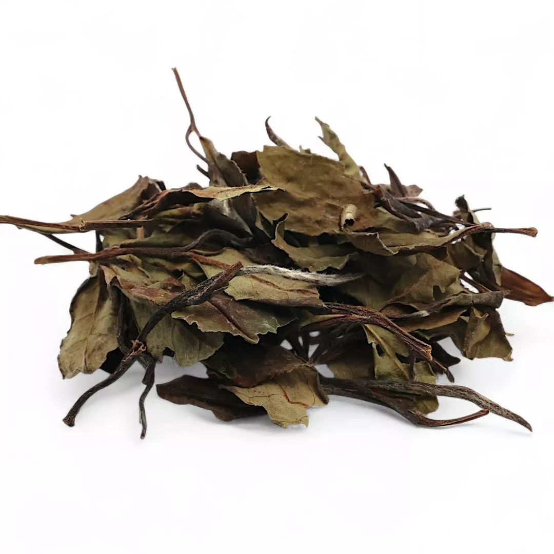 2020 High Mountain Gongmei White Tea