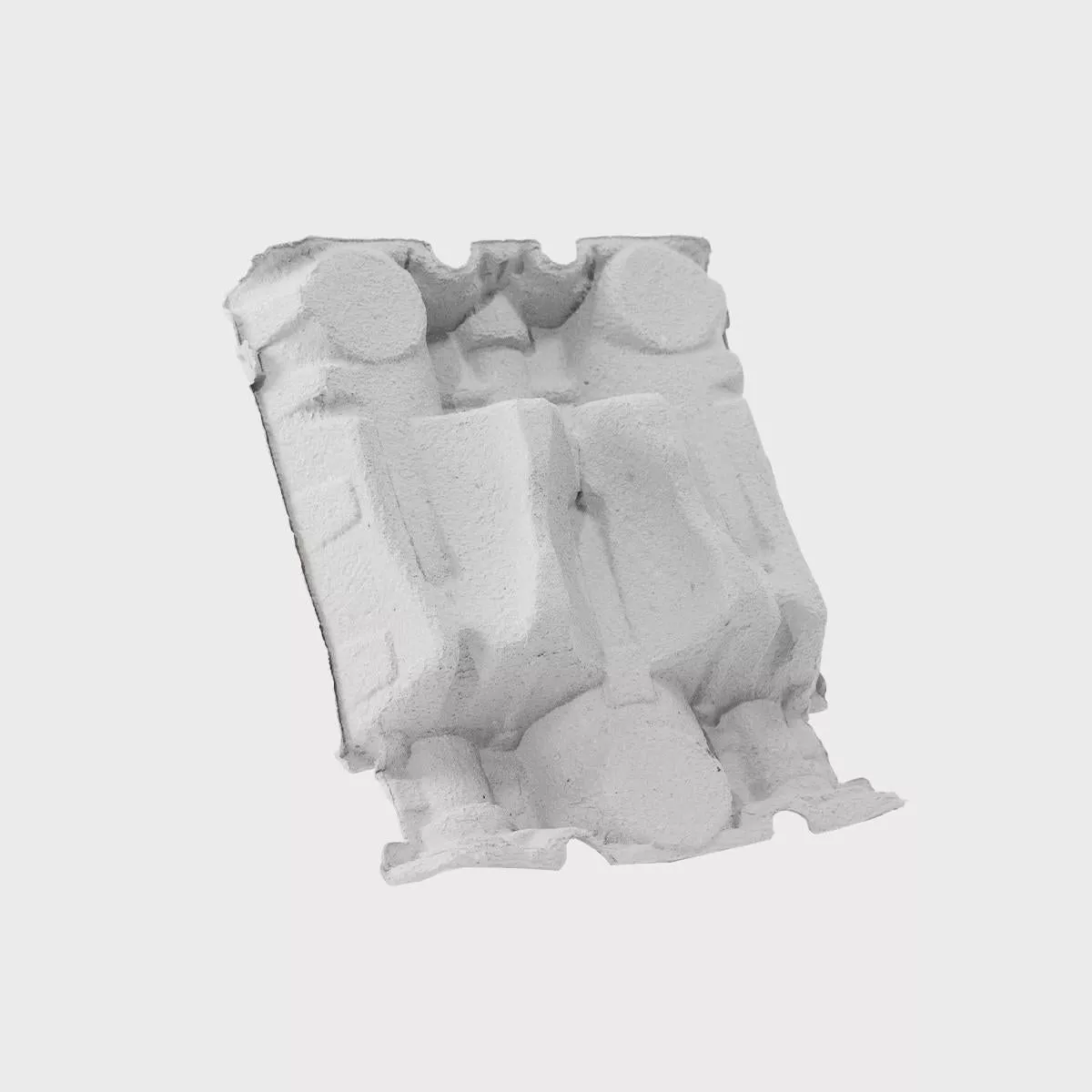 6 bottle reversible pulp divider tray