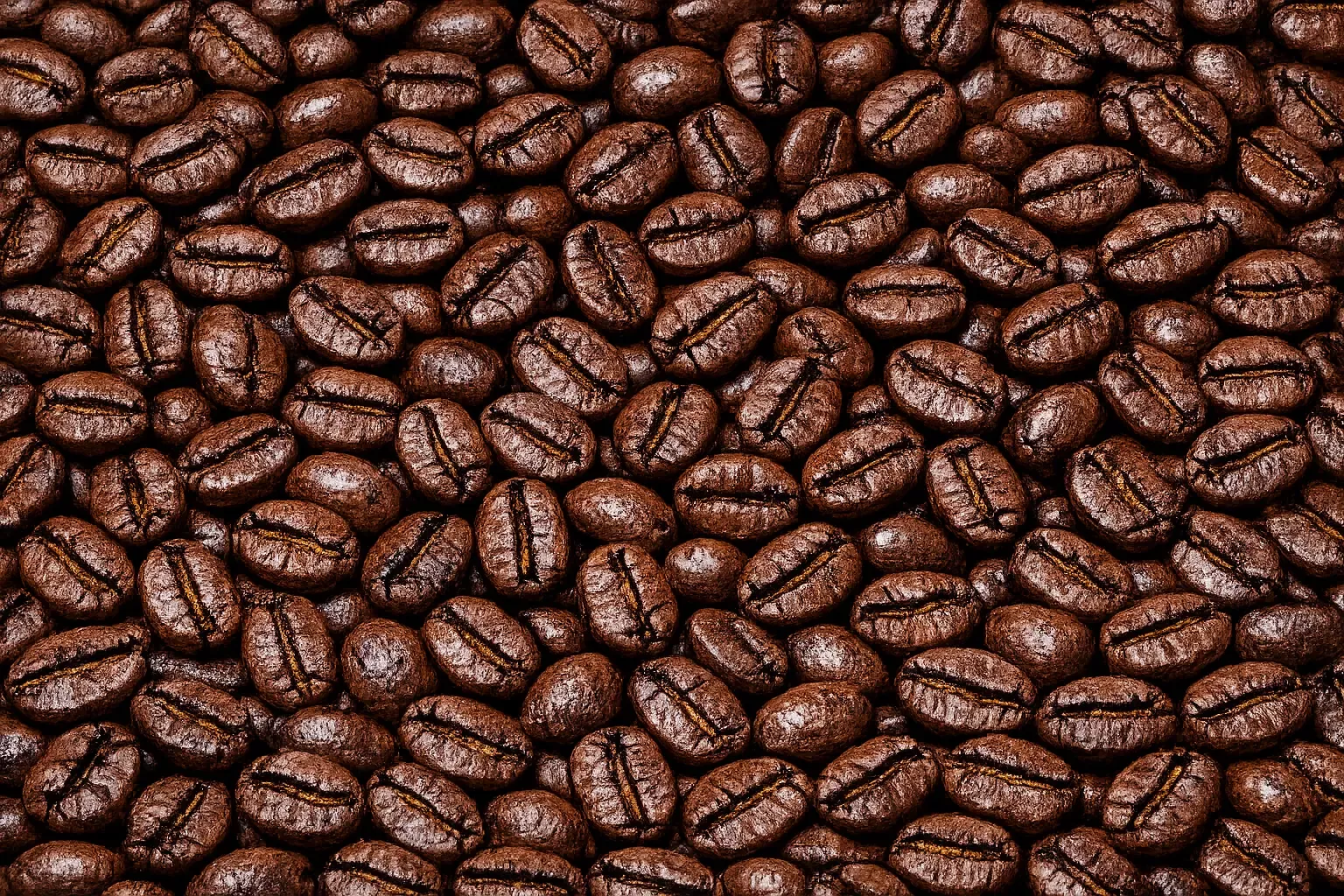 Abyssinia Roasted Coffee Beans