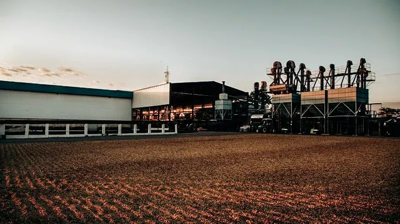 Auro 72h Yeast Fermentation Acaiá Peaberry