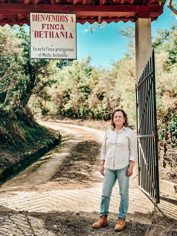 Bethania Hortensia – Washed Catuai