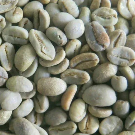 Blue Batak Green Beans Coffee