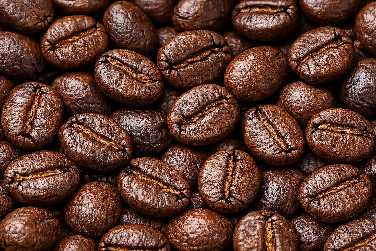 Blue Batak Roasted Coffee Beans