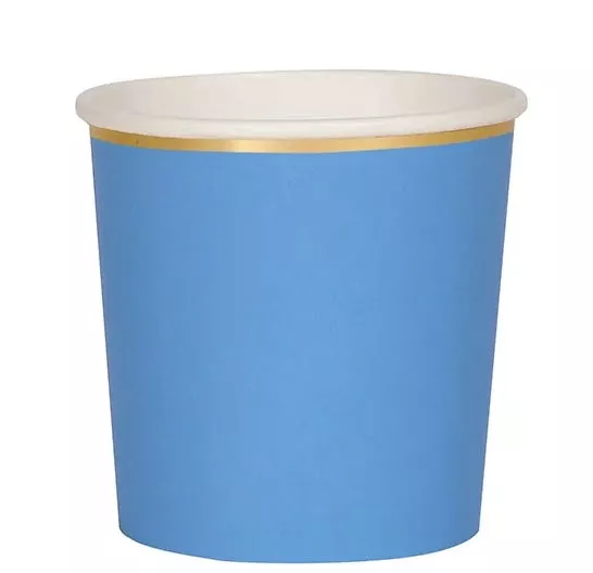 BLUE TUMBLER CUPS