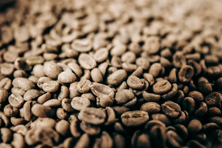 Brazil Natural Staple Subscription