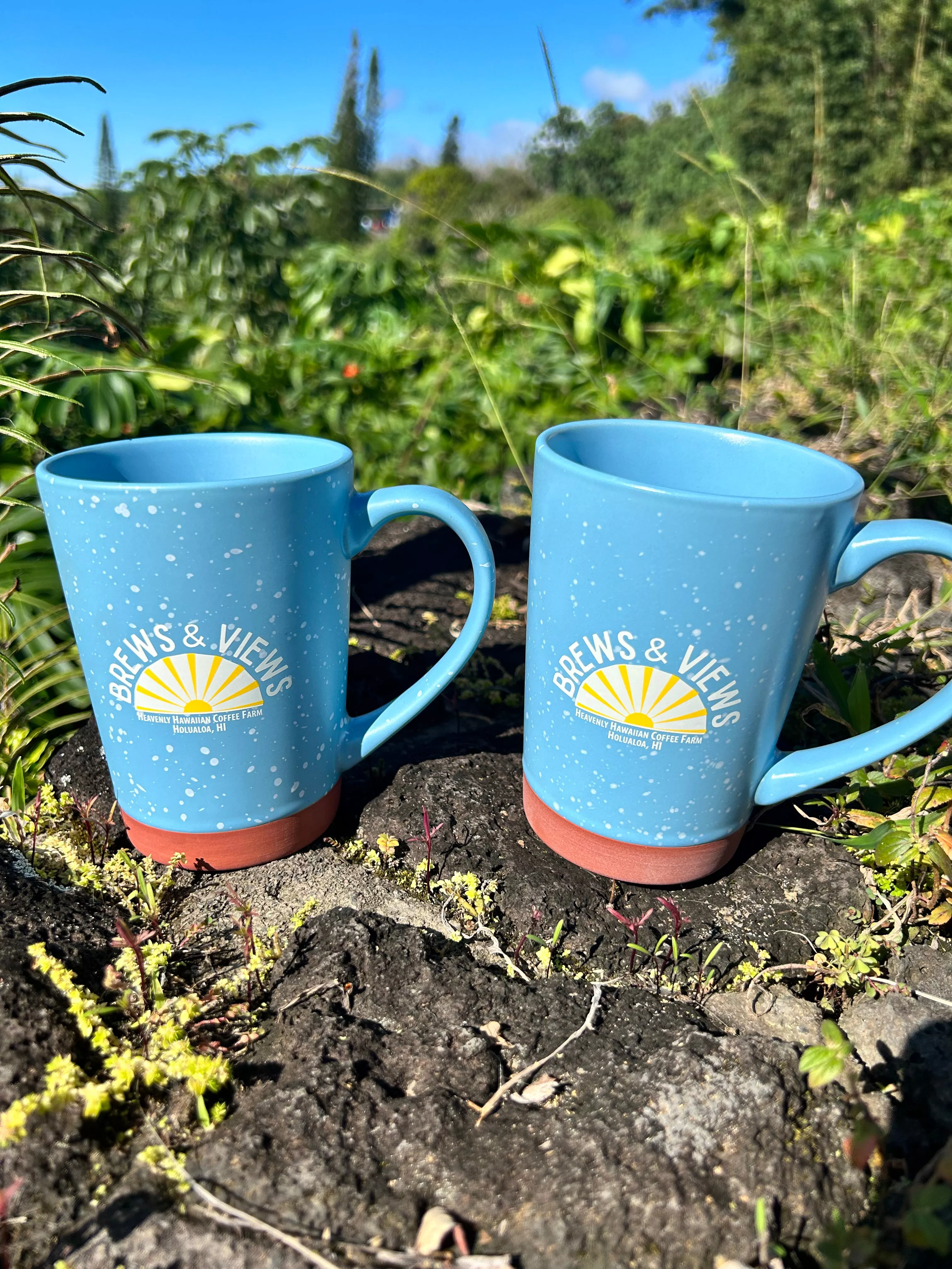 Brews & Views Coffee Mug|Hearth