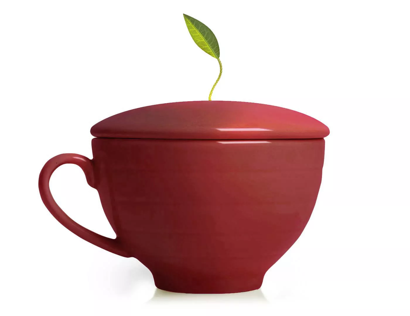 Caf Cup Deep Red