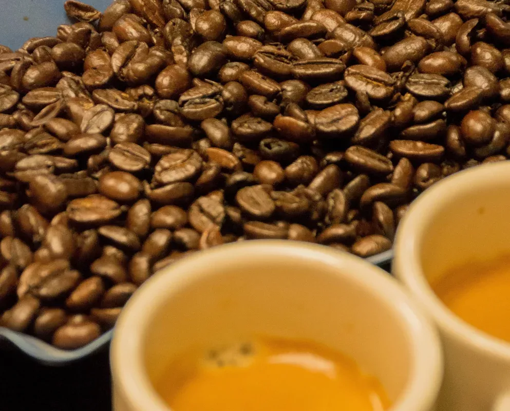 Café Mendez Espresso Beans — 2 lb bag