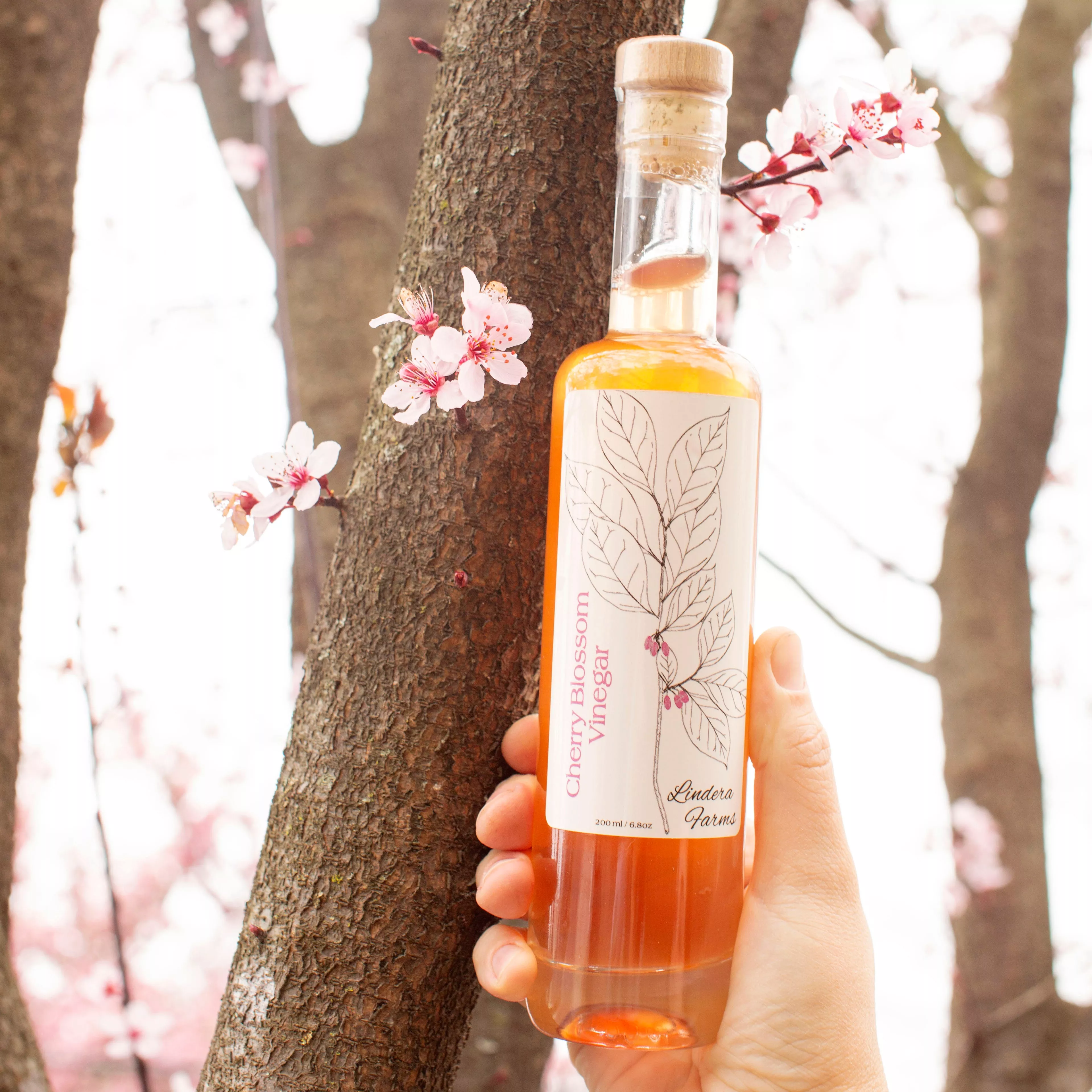 Cherry Blossom Vinegar
