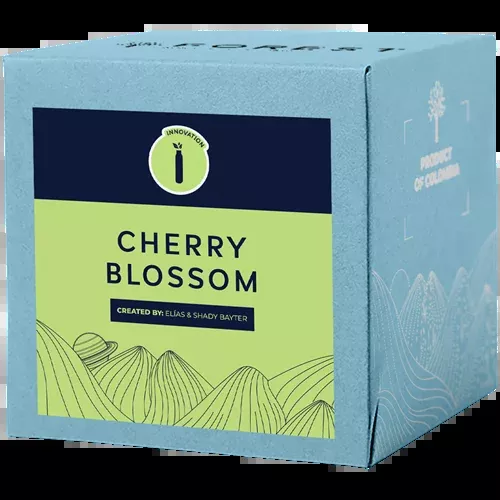 CHERRY BLOSSOM
