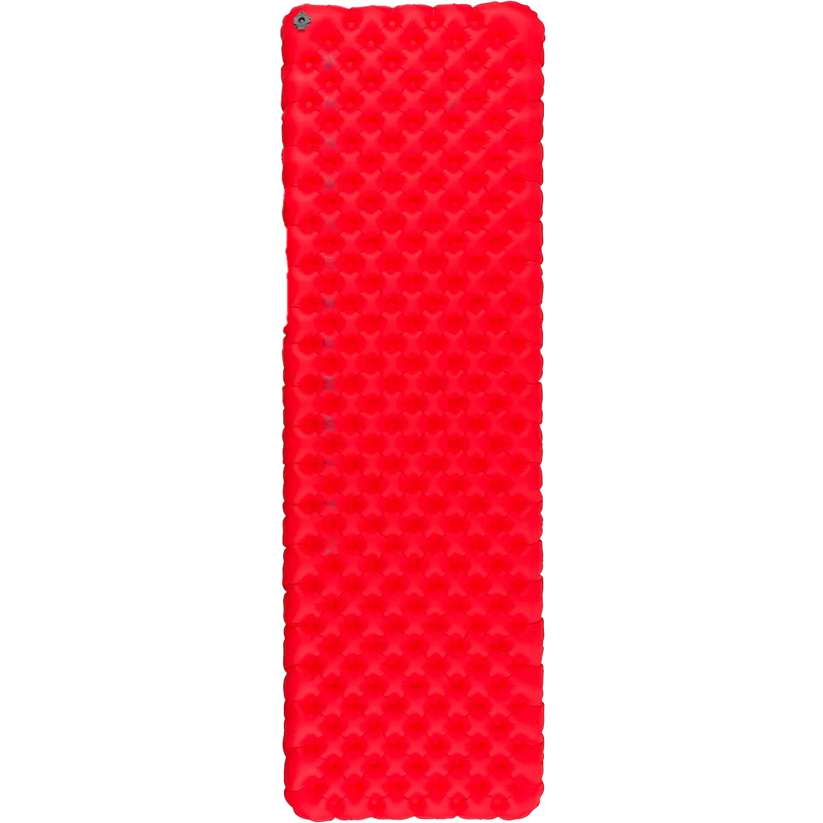 Comfort Plus XT Insulated Large