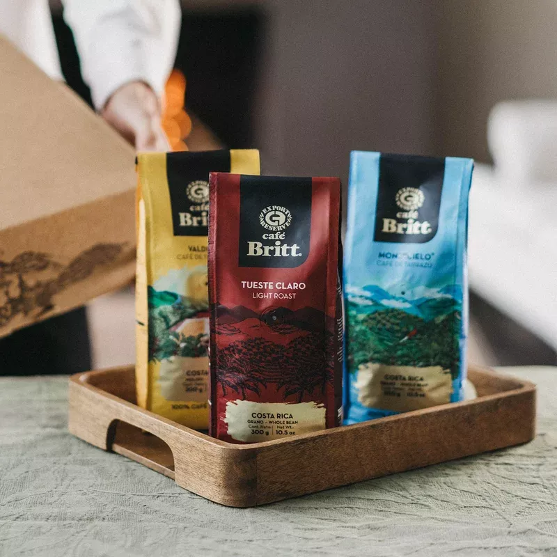 Curated Coffee Collection 3-pack