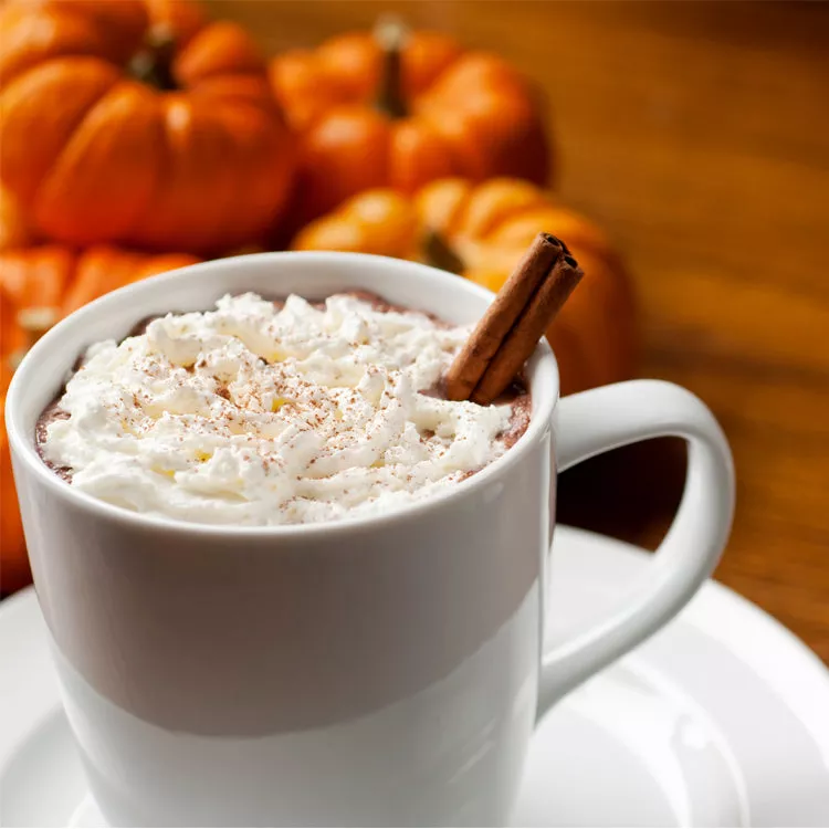 Decaf Pumpkin Spice Coffee (Swiss Water Process) - WS