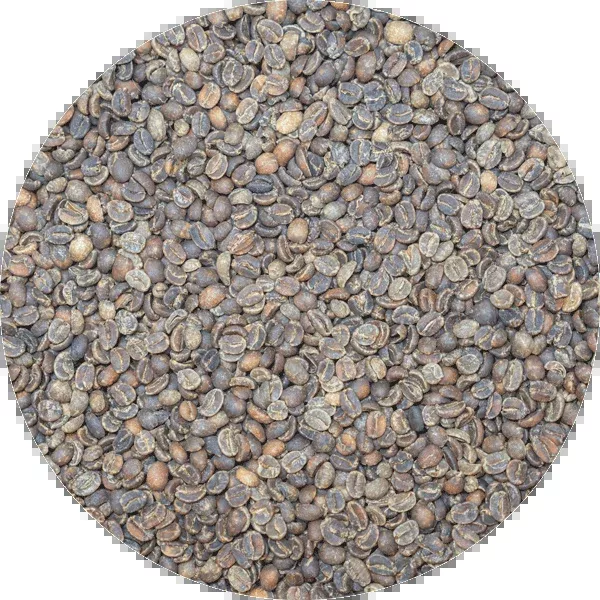 Decaffeinated Indian Monsooned Malabar MWP