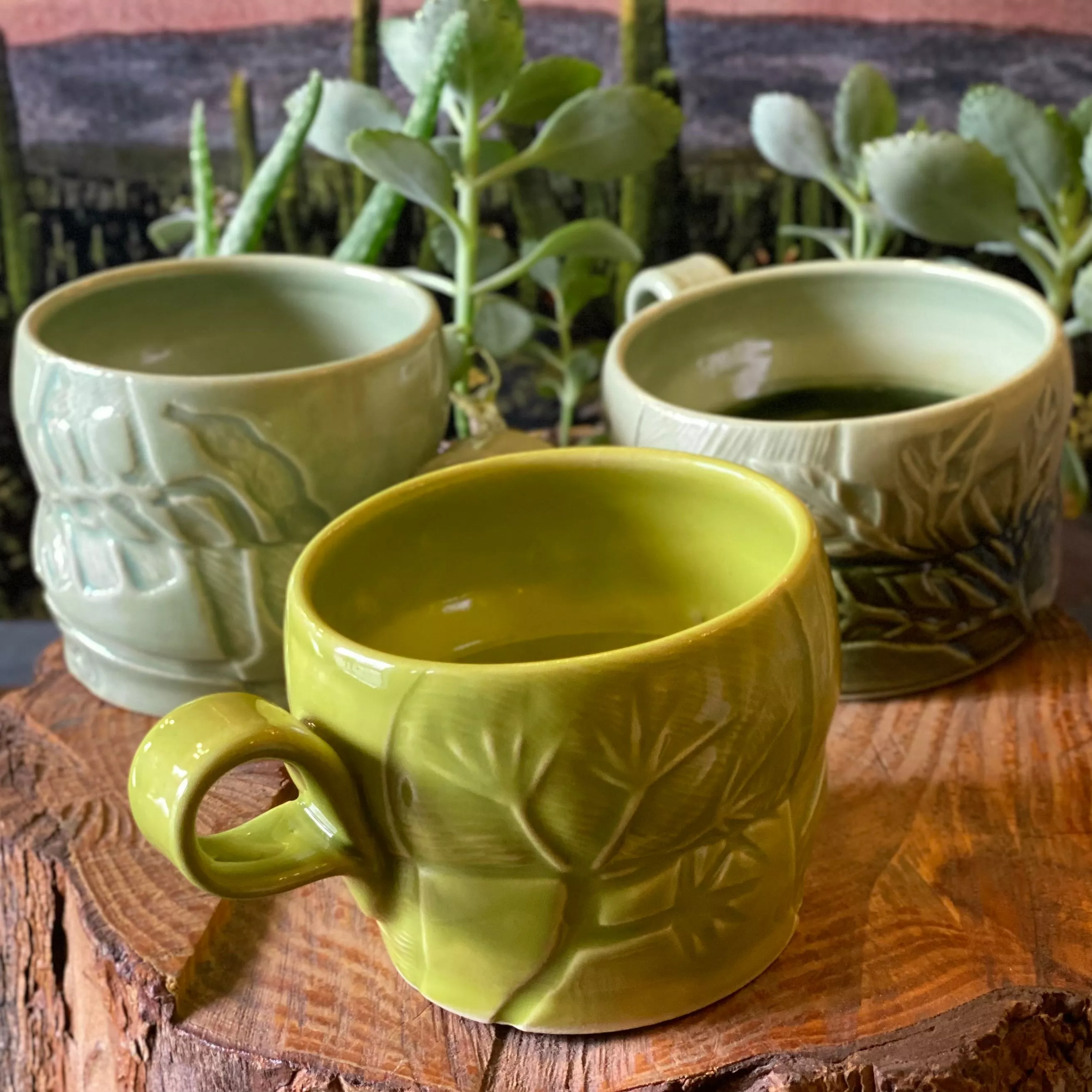 Desert Flora Mugs by Connected Earth Clay and Art Works*