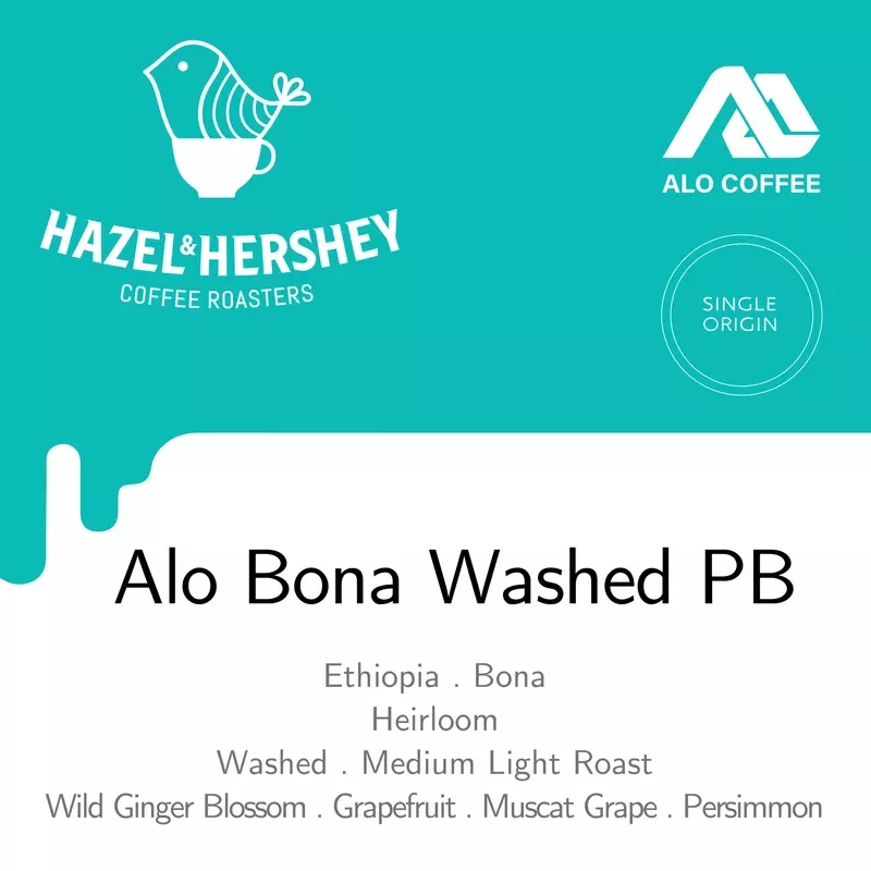 Ethiopia Alo Bona Washed PB