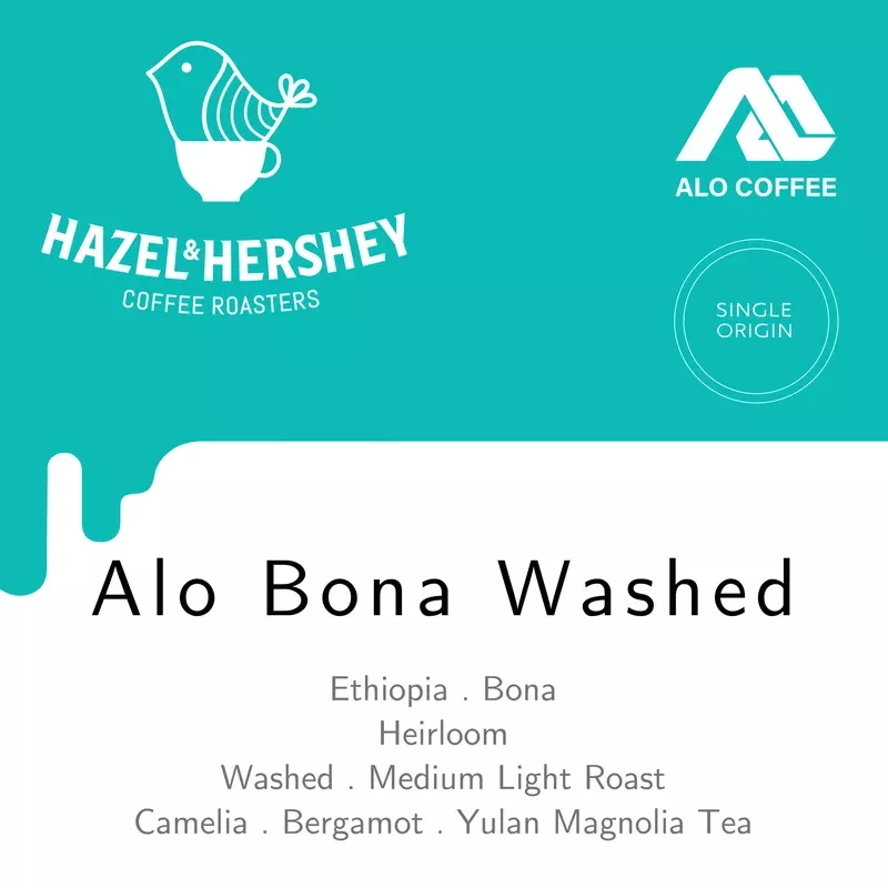Ethiopia Alo Bona Washed