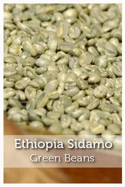Ethiopia Sidama Green Coffee Beans