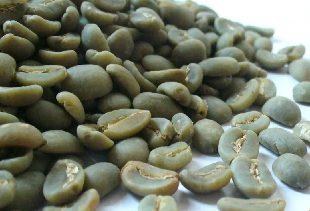 Golden Mandheling Green Coffee Beans