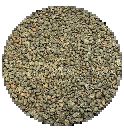 Haitian Premium – Singing Rooster – Honey Processed
