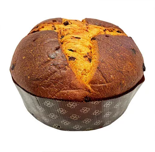 HARDY – Coffee cream and chocolate chip panettone