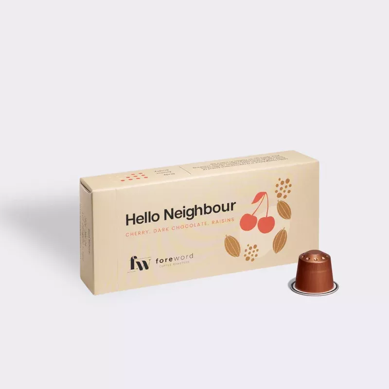 Hello Neighbour