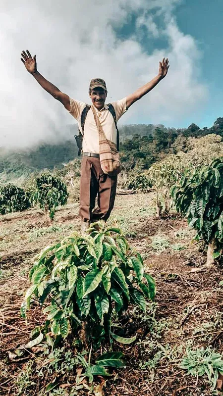 Joaquim Oñate – Finca El Mirado – Washed