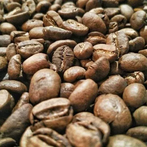 Kopi Luwak Roasted Coffee Beans