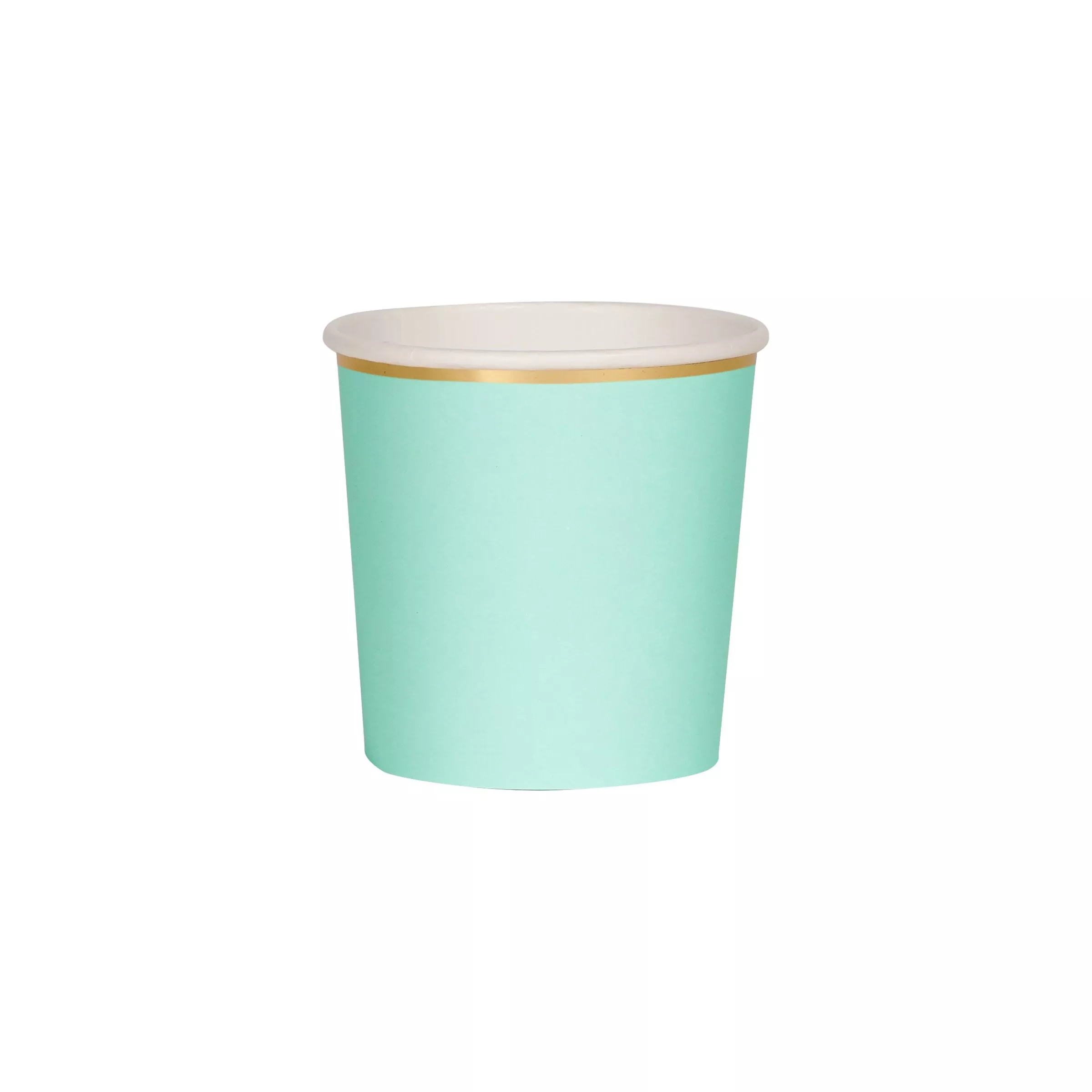 Mint Tumbler Cups