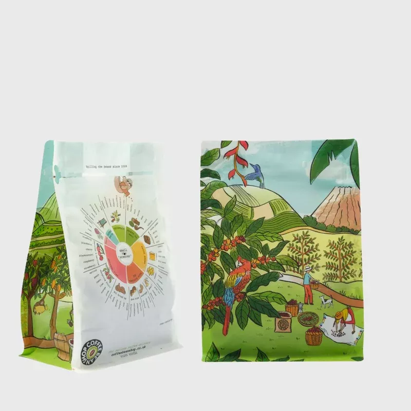 Mocha Guatemala – 2 x 250g