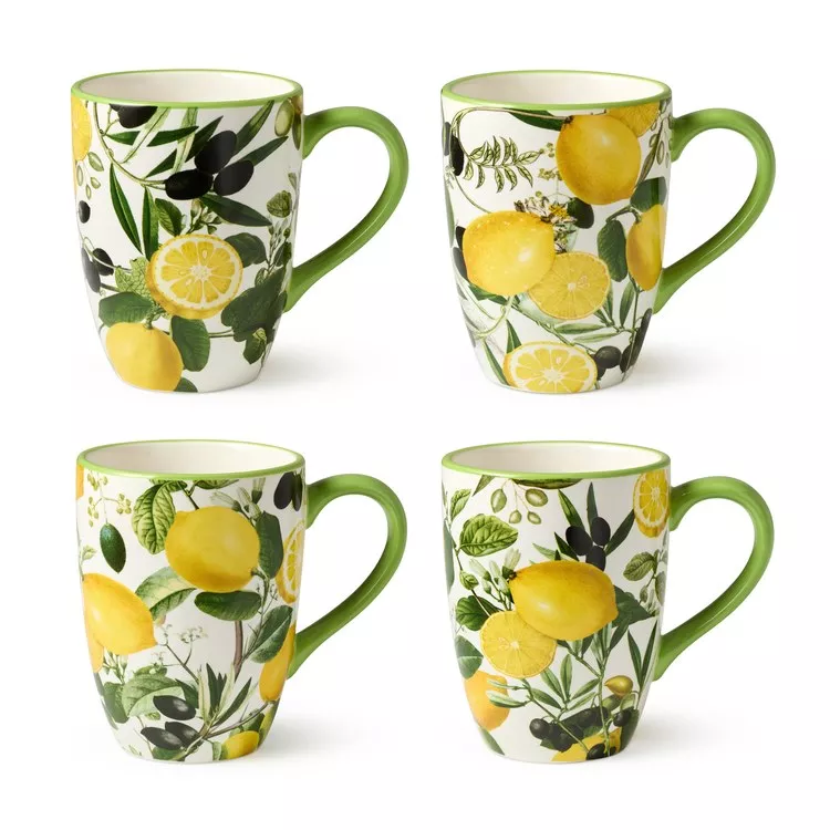 Mug Set Limone 4 Piece 14 Ounce Multicolored