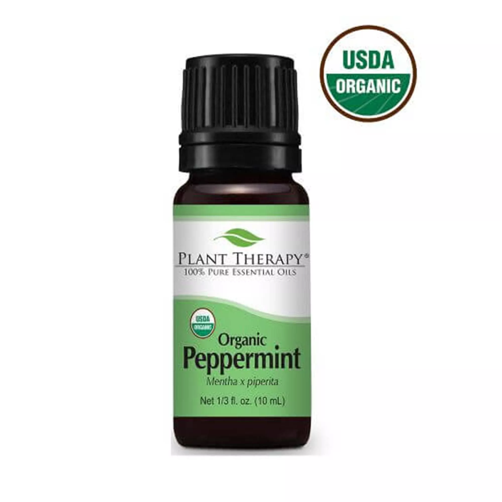 Organic Essential Oil | Peppermint