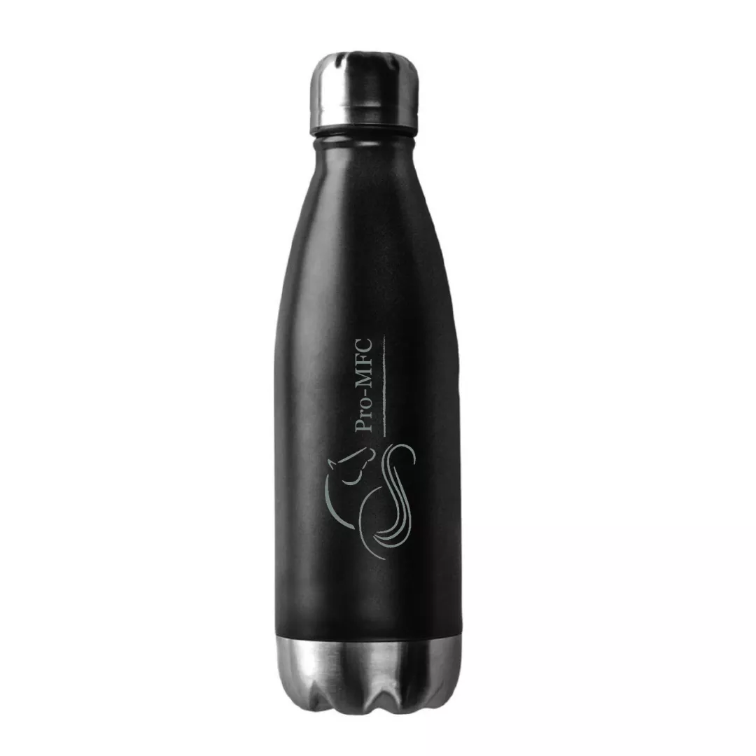 PAEFW Water Bottle