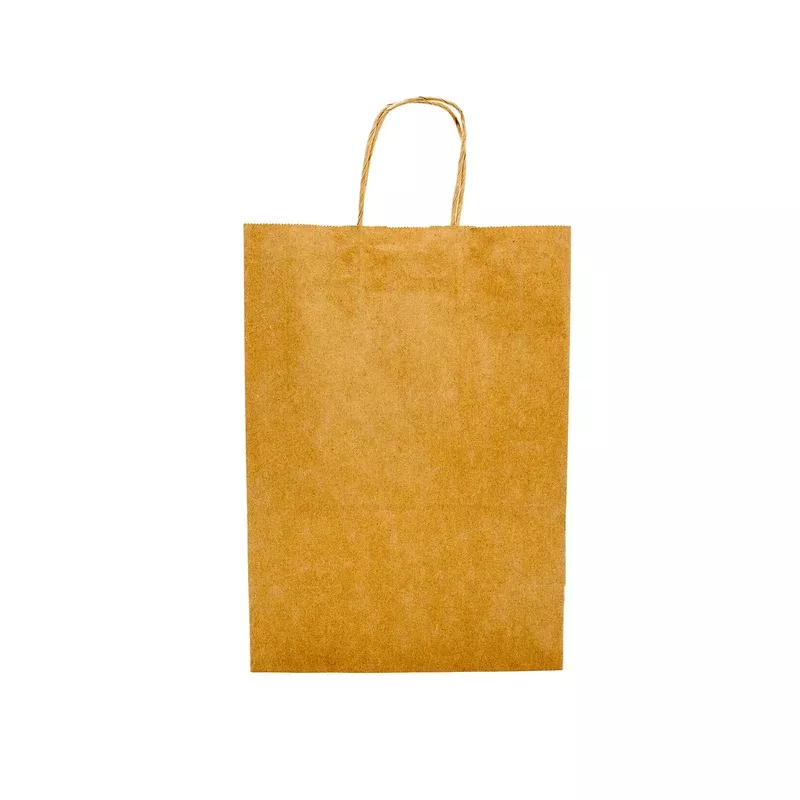 Paper Shopping Bag with Twisted Handles