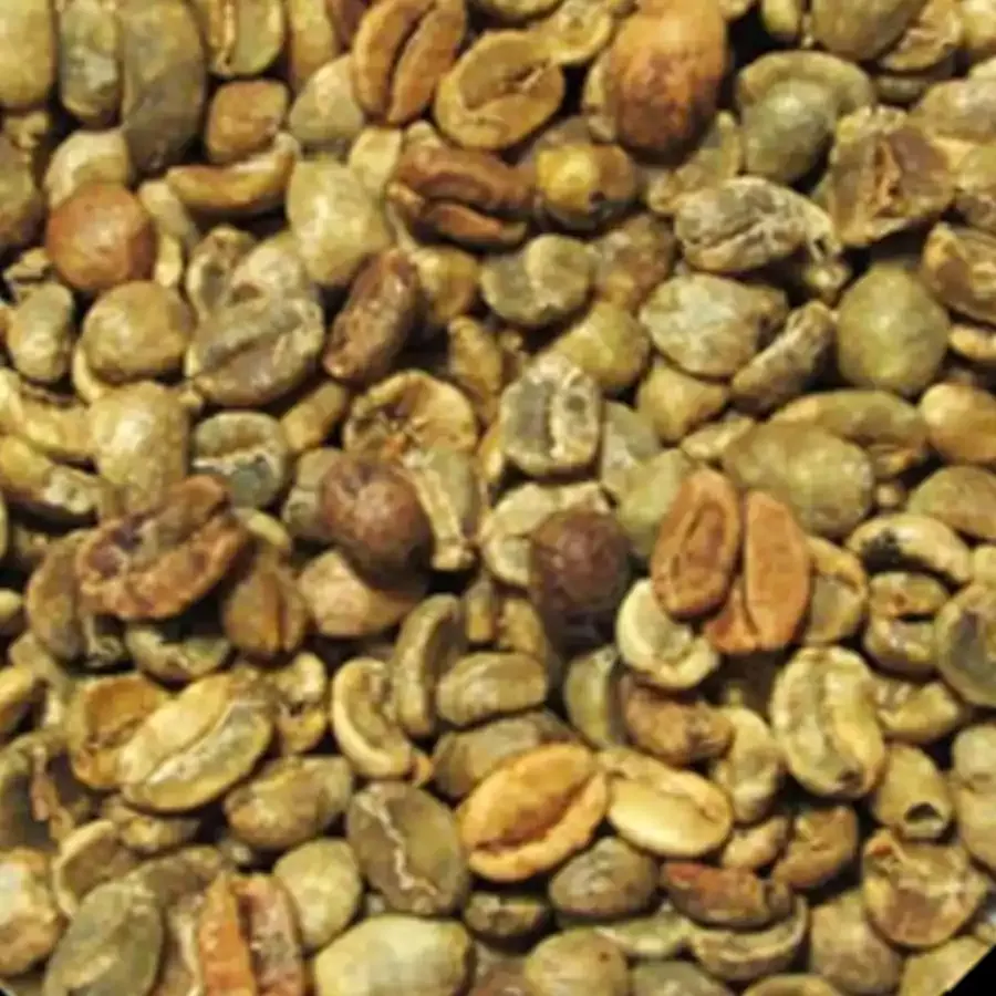 Past Crop Green Coffee Beans