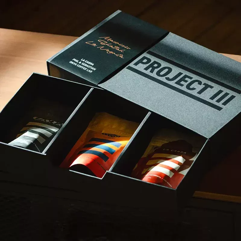 Project III