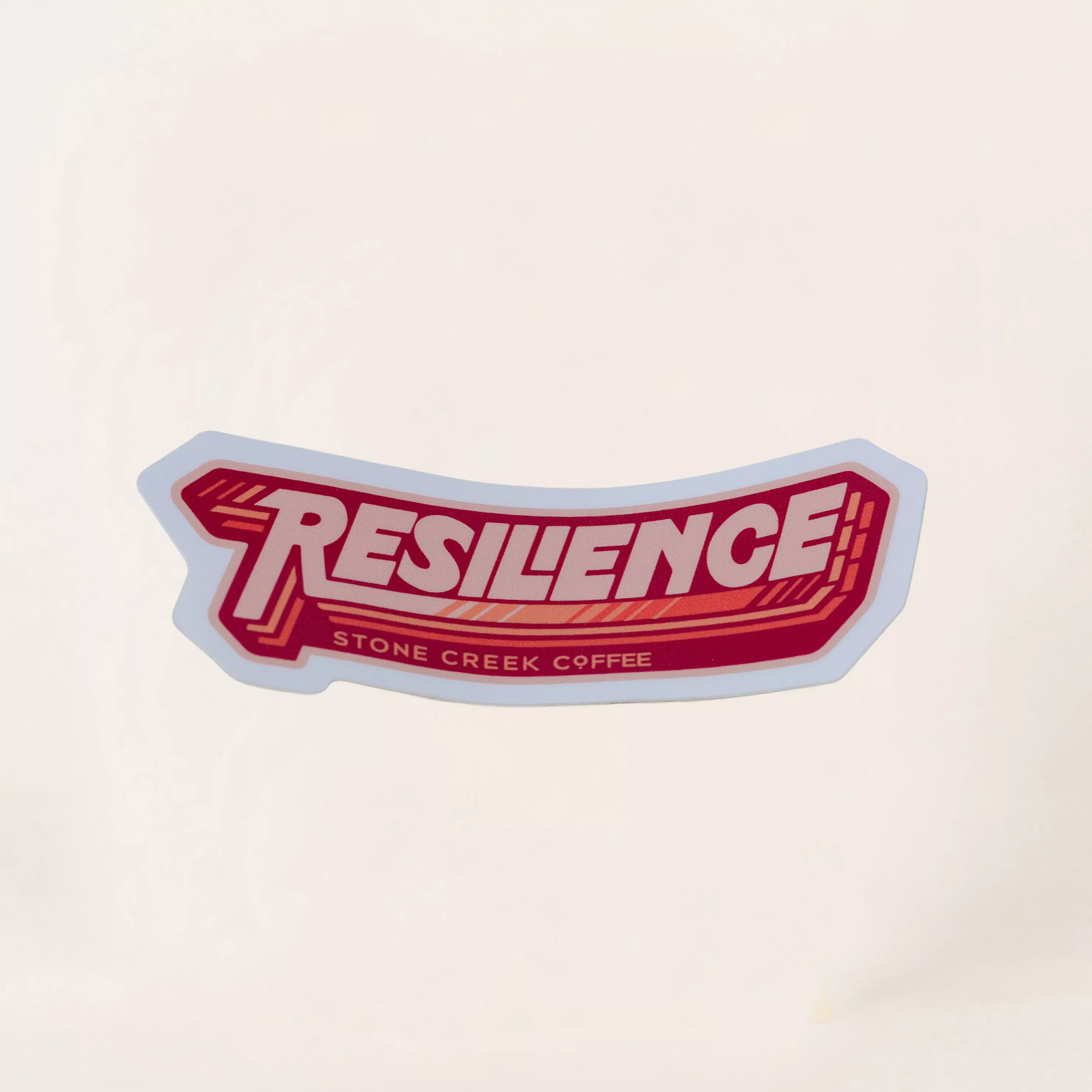 RESILIENCE STICKER