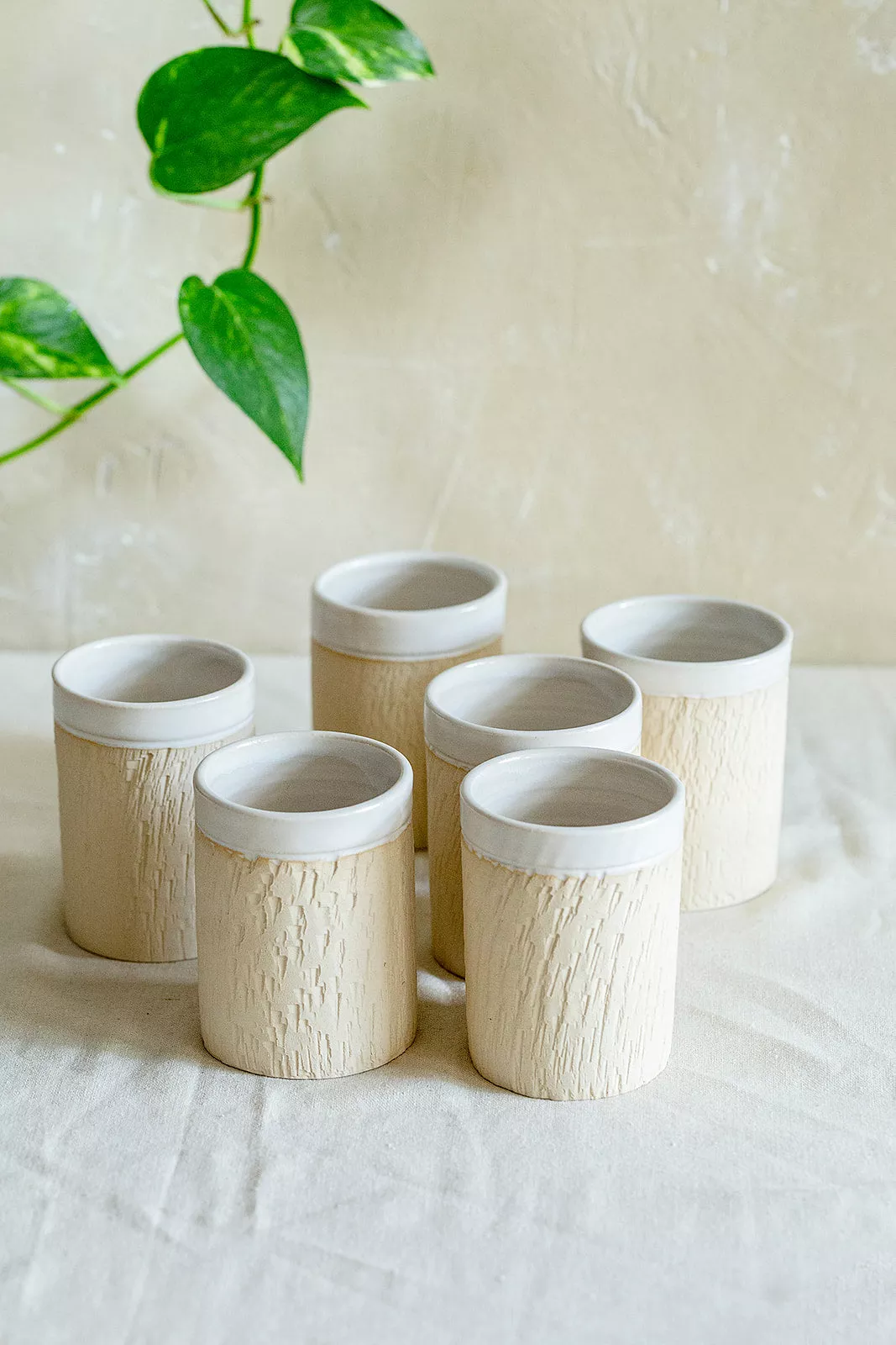 Set of 6 espresso cup