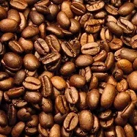Single Origin Club – Espresso Vivace