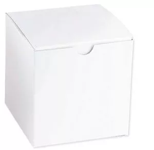 Standard Mug Gift Box|36|White
