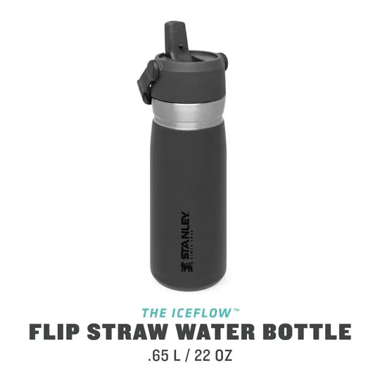 STANLEY Flip Straw Water Bottle 22oz