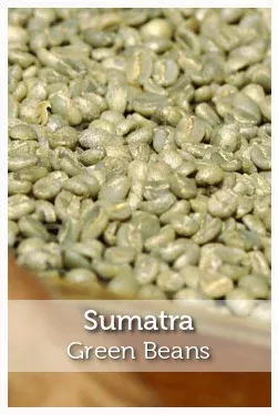 Sumatra Fair Trade Organic Green Coffee Beans