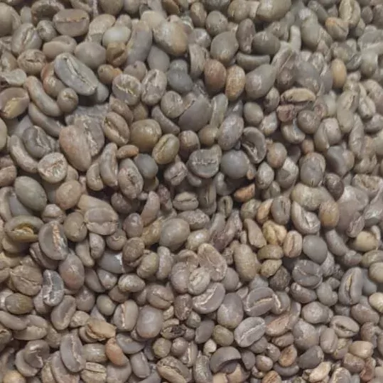 Tanah Karo Green Coffee Beans
