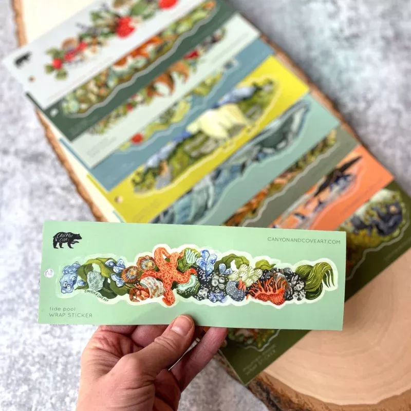 Tide Pool Starfish Wrap Sticker